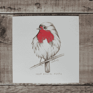 Robin Card by Sarah Rowley | Roanoke Art